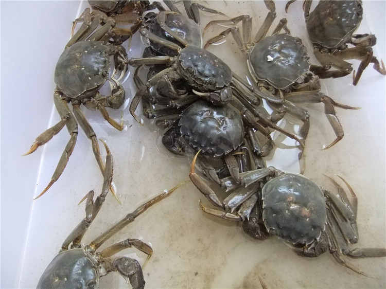 111111111.jpg 111111111.jpg