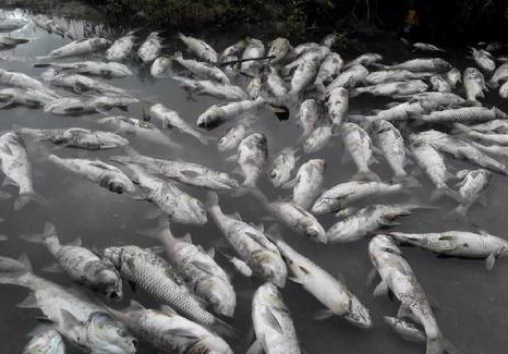 H0~KO((}2${3`NADM}$M}_3.png H0~KO((}2${3`NADM}$M}_3.png