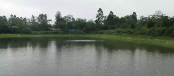 QQ圖片20171031172754.png QQ圖片20171031172754.png