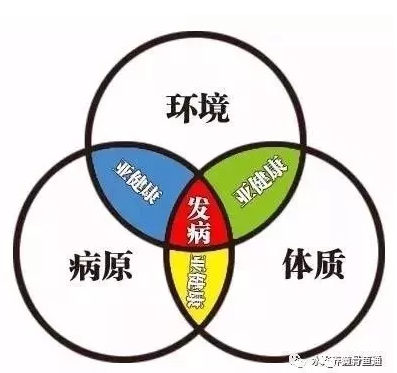 V))4KVCK~HLX_(V0QE42`QR.png V))4KVCK~HLX_(V0QE42`QR.png